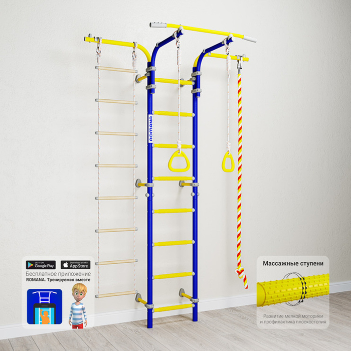 Детский спортивный комплекс Романа "Karusel S5", цвет синяя слива