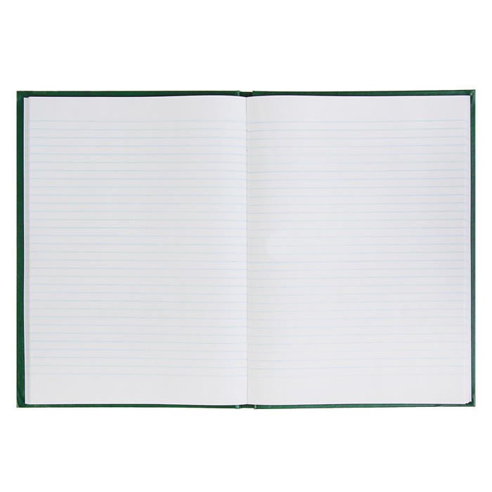 Канцелярская книга Calligrata, 96 листов, бумвинил, офсет, линейка, микс