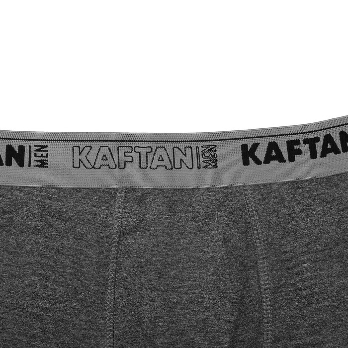 Трусы мужские KAFTAN, серый, размер 54