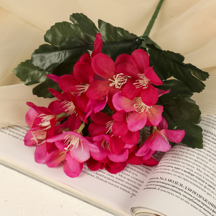 Букет "Фиалка одноцветная" 26 см, микс