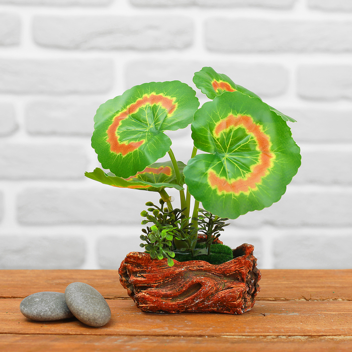 Бонсай "Кувшинка" 8*12 см, микс