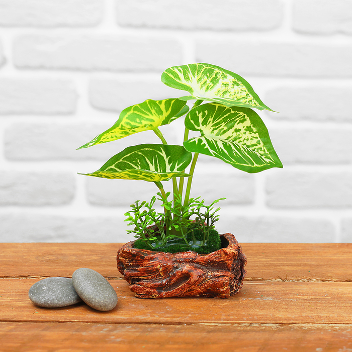 Бонсай "Травка" 8*12 см, микс