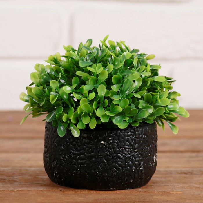 Бонсай "Мелкие листочки" 8,5*10 см, микс