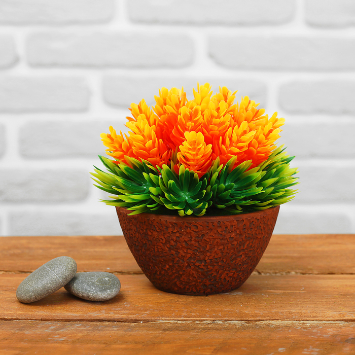 Бонсай "Двуцветные лепестки" 11*12 см, микс