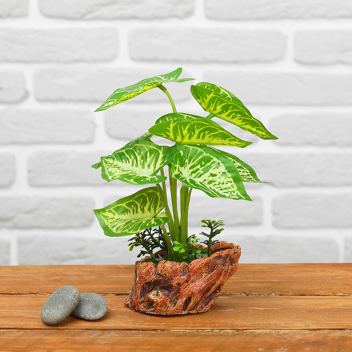 Бонсай "Дифендер" 10*18 см, микс