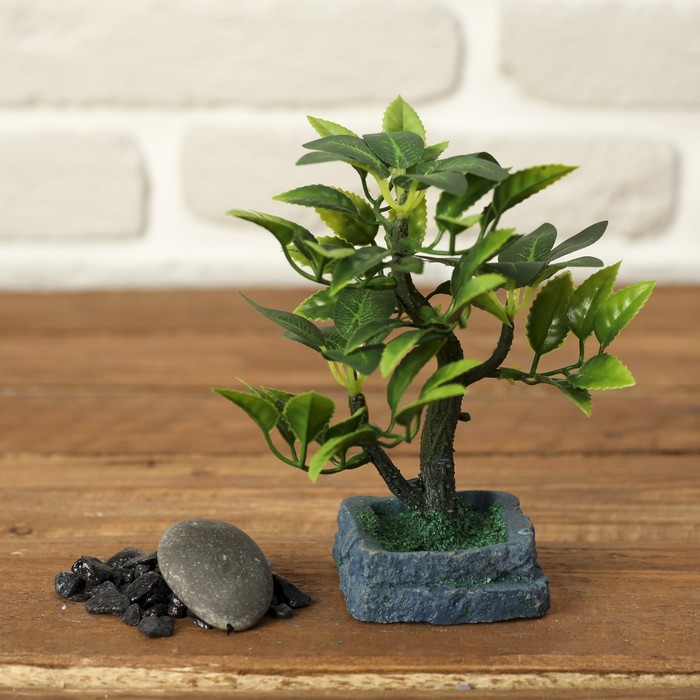 Бонсай в квадратной каменной клумбе 6*13 см микс