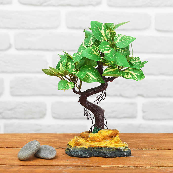Бонсай с бело-зелёными листочками в каменной клумбе 10*21 см микс
