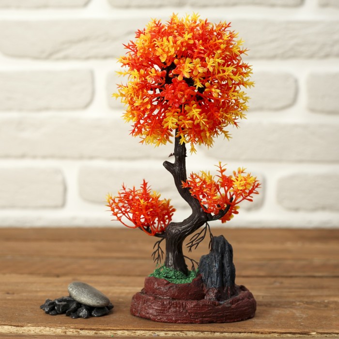 Бонсай мелколистый, высокий 11*25 см микс