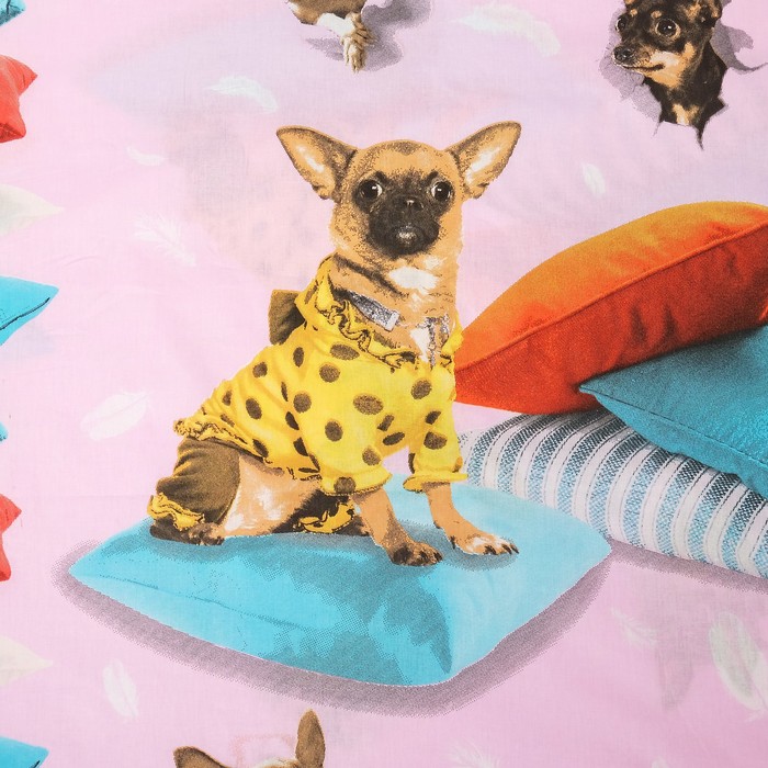 КПБ 1,5сп рис 1641 Любимец 147х215см, 150х215см, 70х70см 1шт поплин,115 г/м