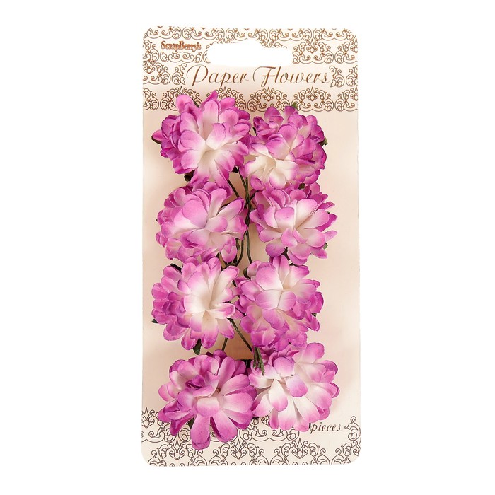 Цветы астры из бумаги (набор 8 шт) сиреневые