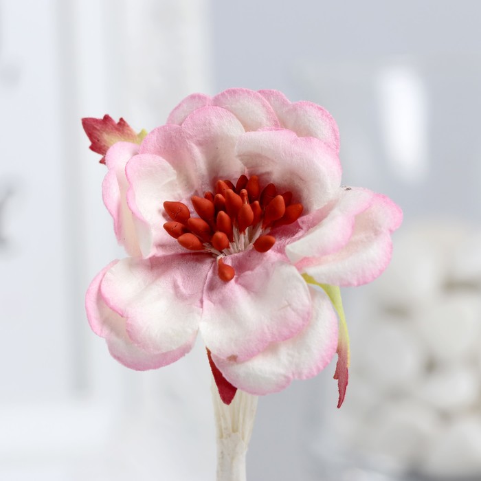 Цветы магнолии (набор 4 шт) бело-розовые