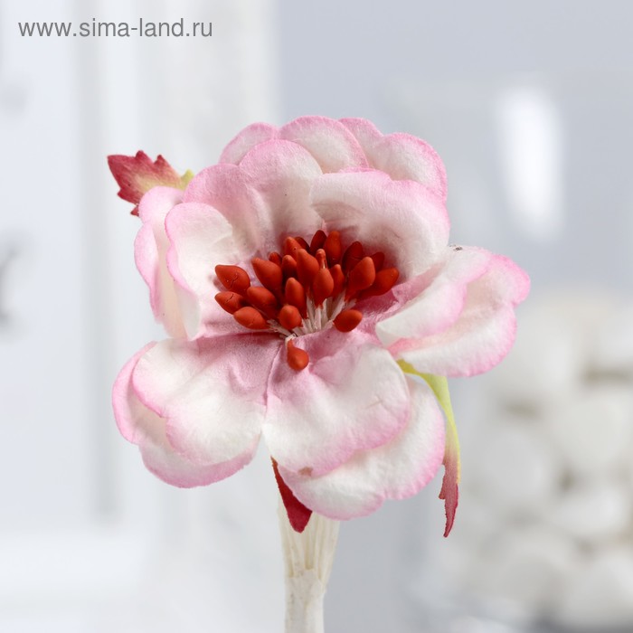 Цветы магнолии (набор 4 шт) бело-розовые