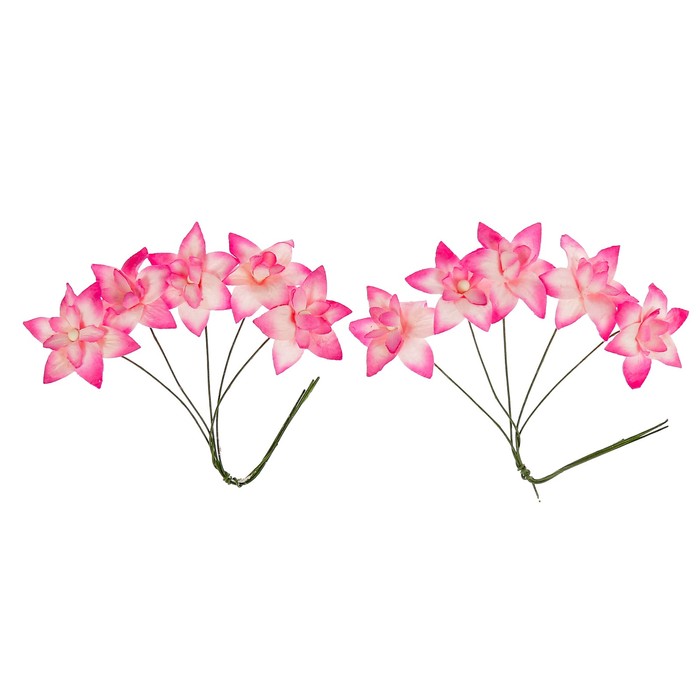 Цветы нарциссы (набор 10 шт) розовые