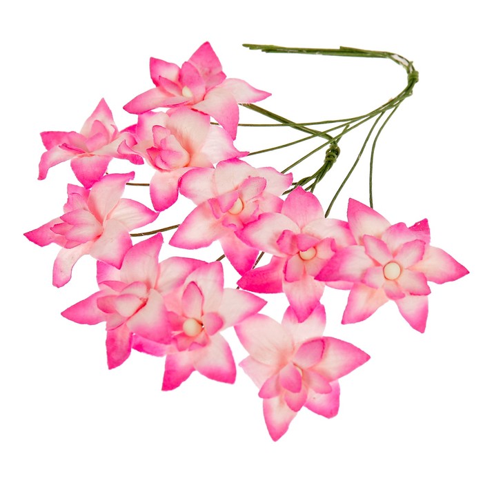 Цветы нарциссы (набор 10 шт) розовые