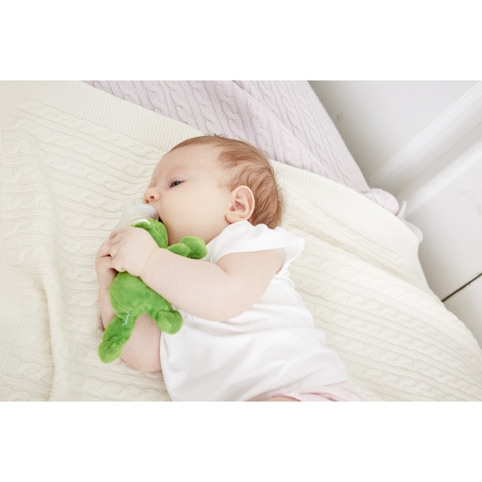 Пустышка силиконовая с развивающей игрушкой "Лягушонок Рикардо"