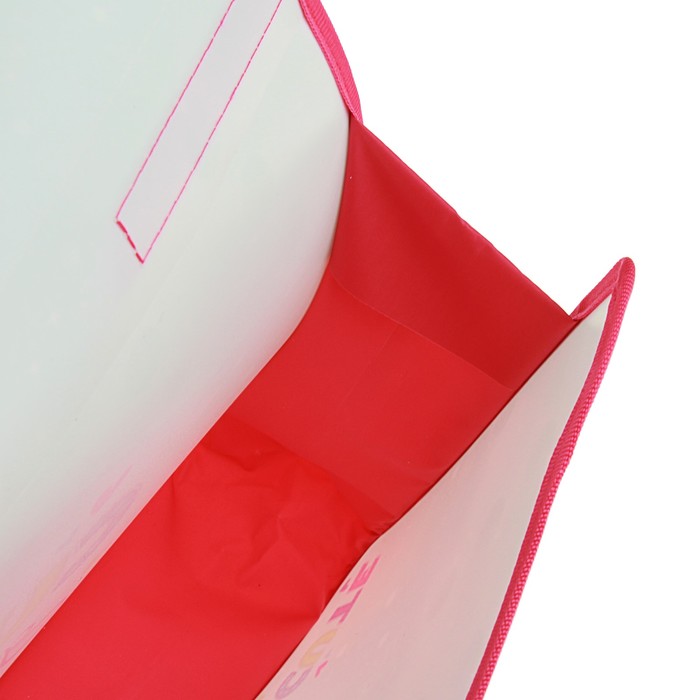 Папка с ручками пластиковая на липучке А4, 335x235х55 мм , Blondy girl