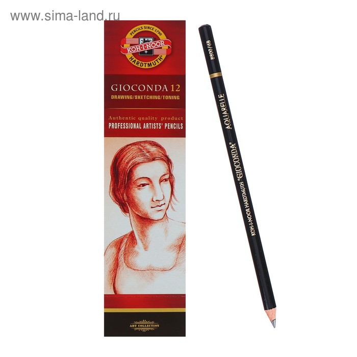 

Карандаш художественный чернографитный акварельный GIOCONDA 8800 6В