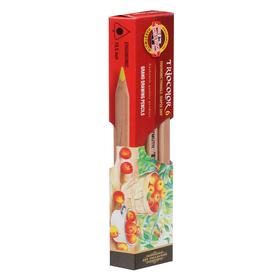 

Карандаши утолщённые Triocolor 3151N, 6 цветов, трехгранные