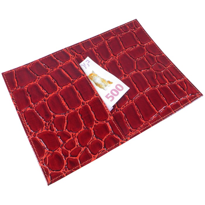 Обложка для паспорта с внешним карманом, цвет красный