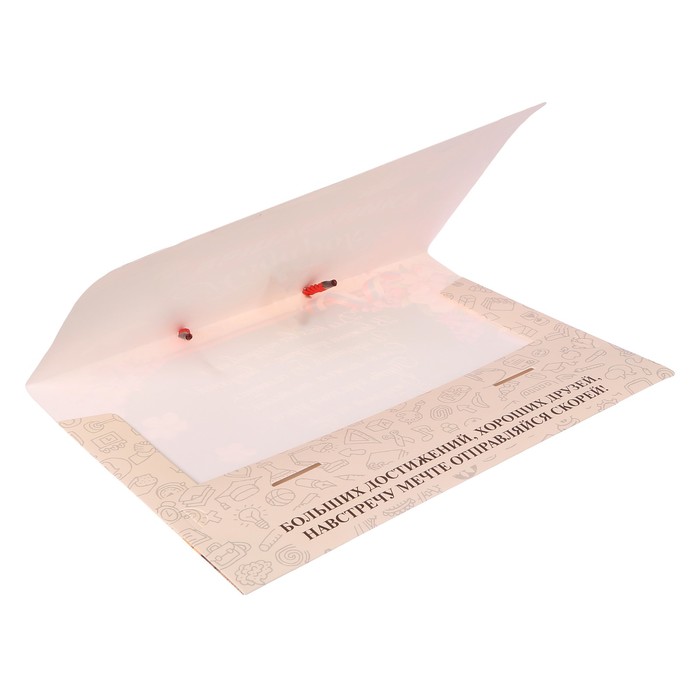 Папка-портфель для подарков "Выпускнику"