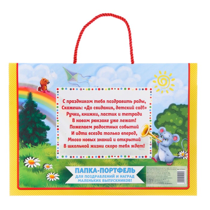 Папка-портфель для подарков "Выпускник детского сада"