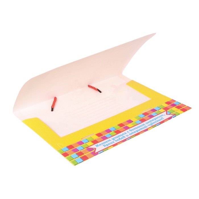 Папка-портфель для подарков "Выпускник детского сада"