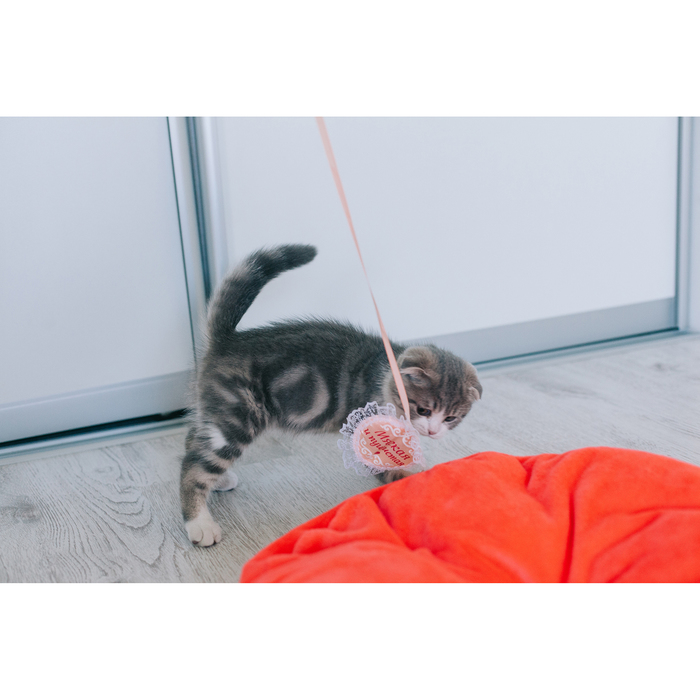 Дразнилка-удочка с вышитой игрушкой "Мягкая и пушистая"