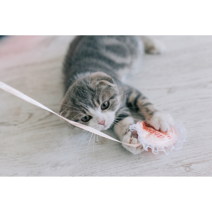 Дразнилка-удочка с вышитой игрушкой "Мягкая и пушистая"