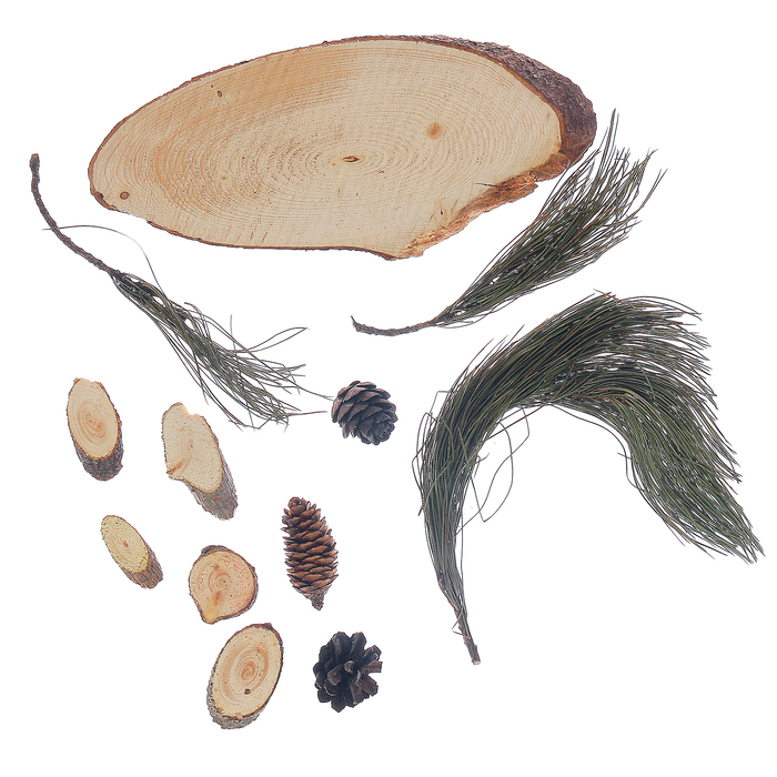 Набор природного декора "Таёжный кедр"