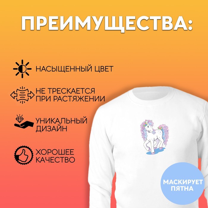 

Термотрансфер «Пони», 9,5 × 9,5 см