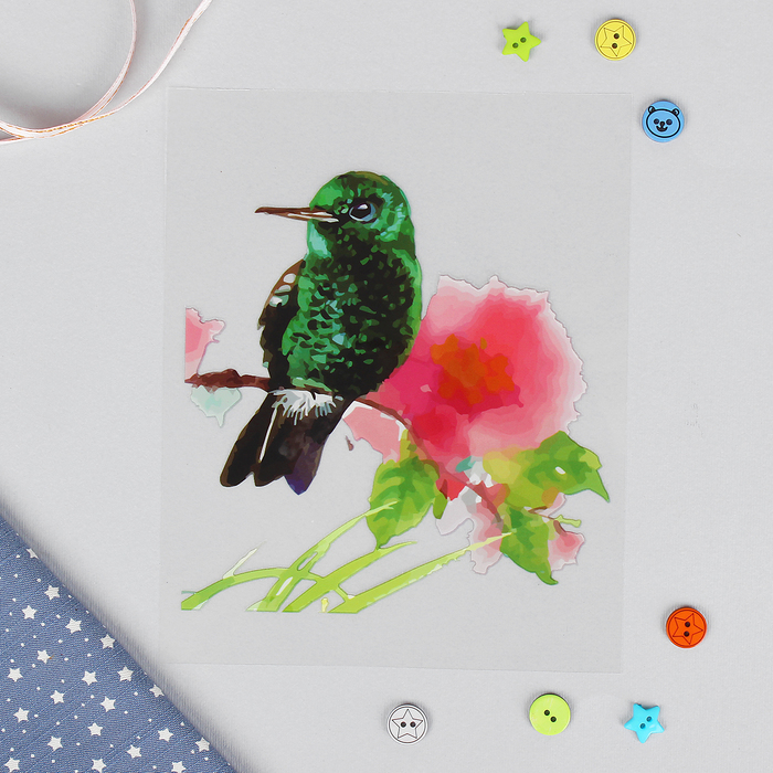 Термотрансфер "Колибри", 13*20см, цвет зелёный