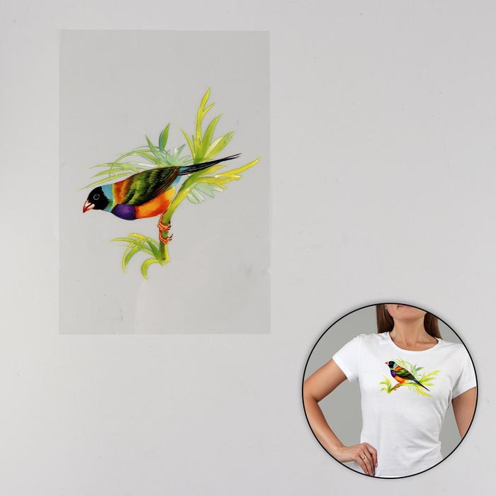 Термотрансфер «Птица», 13 × 20 см