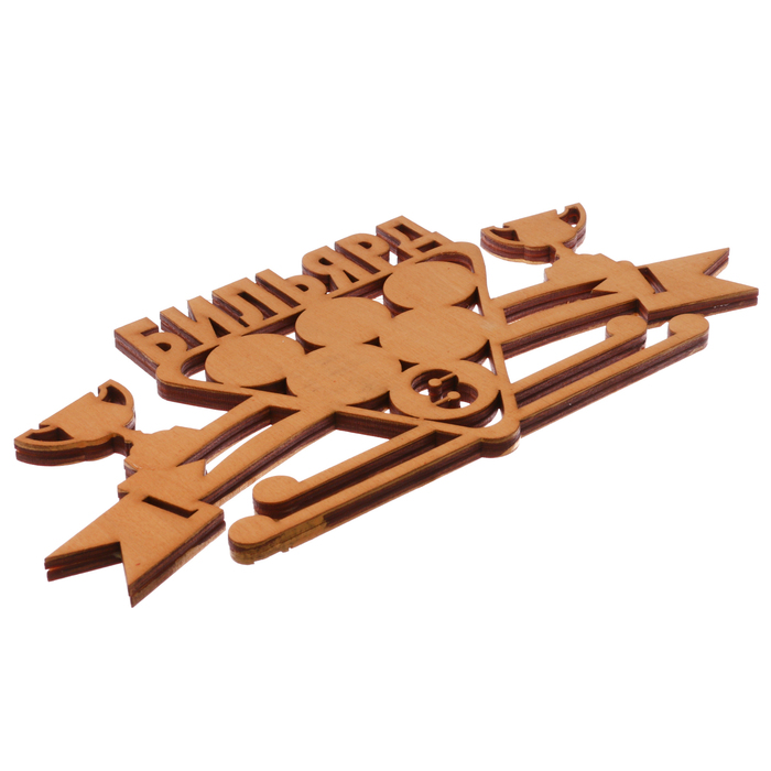 Медальница "Бильярд"