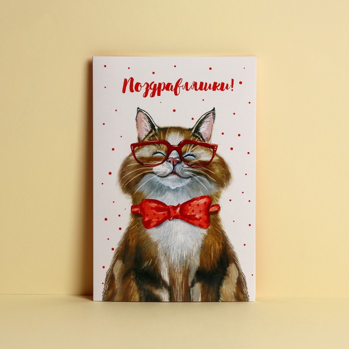 Открытка «Поздравляю», добрый кот, 12 × 18 см