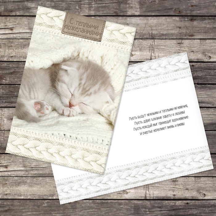 Открытка «С тёплыми пожеланиями», котик, 12 х 18 см