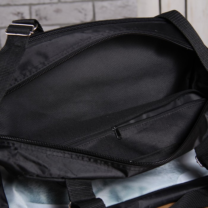 Сумка спорт 3019, 45*15*30, отдел на молнии, н/карман, "Кот"