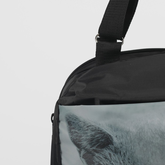 Сумка спорт 3019, 45*15*30, отдел на молнии, н/карман, "Кот"