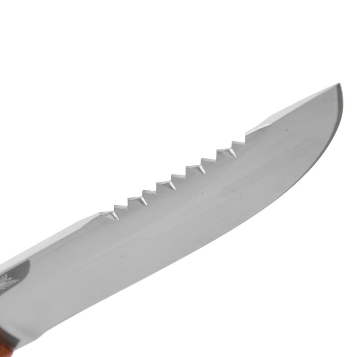 Нож "Робинзон-2", рукоять карельская береза