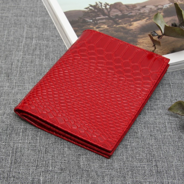 Обложка для автодокументов и паспорта, 5 карманов для карт, питон, цвет красный