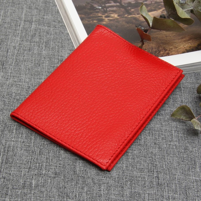 Обложка для автодокументов, флотер, цвет красный