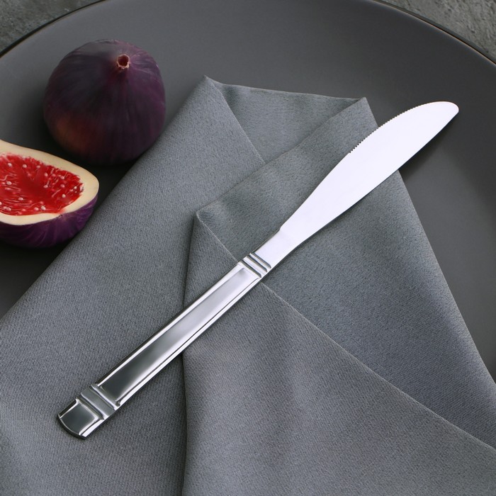Нож столовый Доляна «Варт», 21,9 см, толщина 2 мм