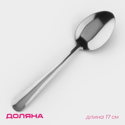 Ложка столовая Доляна «Нордик», h=17 см, толщина 1,2 мм