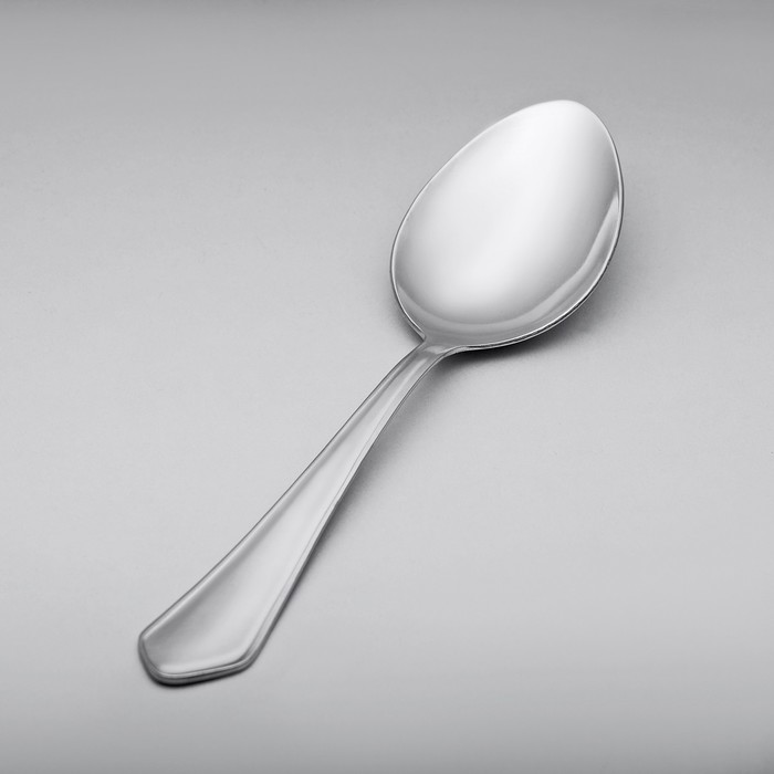 Ложка столовая 20 см "Новинка-М", толщина 1,5 мм