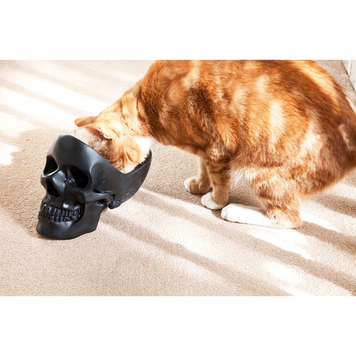 Органайзер для мелочей skull черный