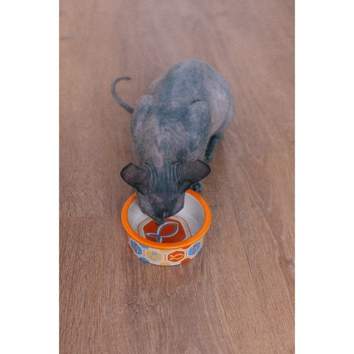 Миска керамическая графическая "Рыба" 250 мл, оранжевая