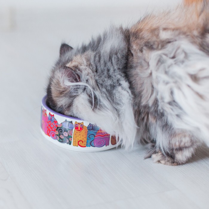 Миска керамическая "Этно-кошки" 400 мл, белая