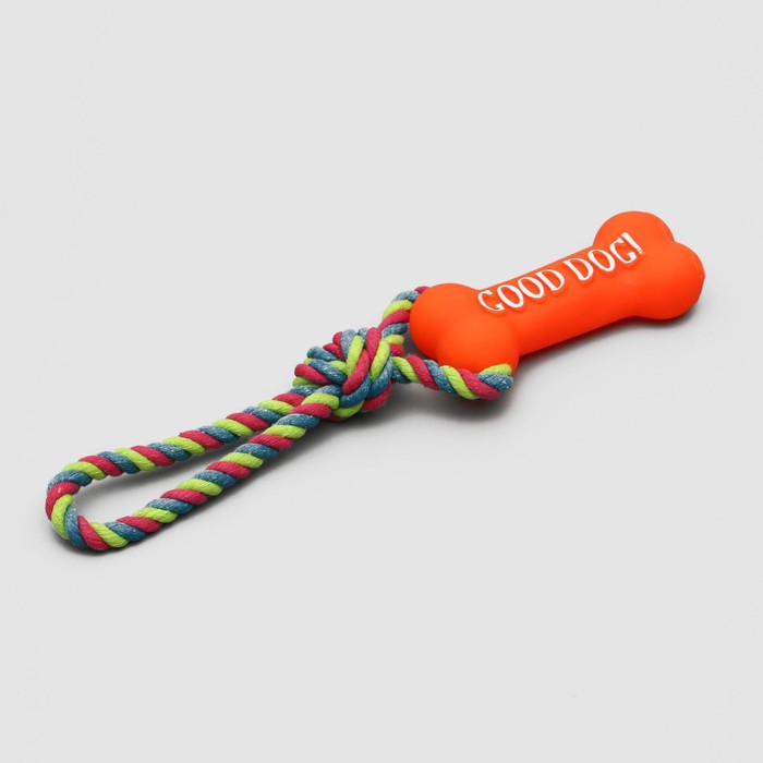 фото Игрушка резиновая "кость" (14 см) с ручкой из каната для собак, до 37 см, микс цветов пижон