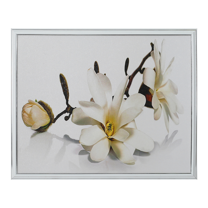 Картина "В белых тонах" 43*53 см