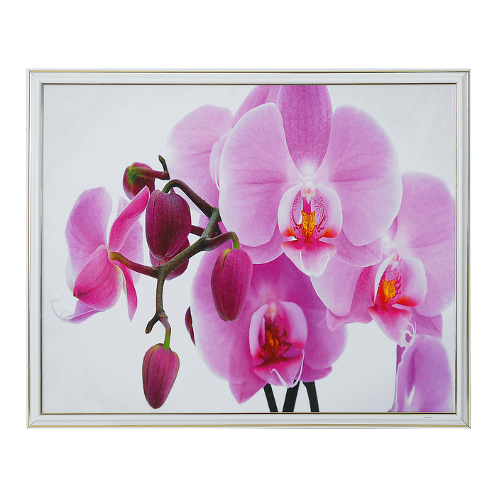 Картина "Нежная орхидея" 43*53 см