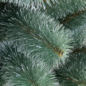 

Сосна Крымская Белоснежная 140 см, d нижнего яруса 70 см, 117 веток